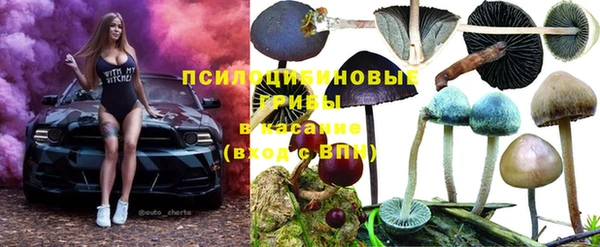 шишки Кизел