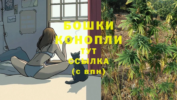СК Кемь