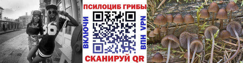 Псилоцибиновые грибы Psilocybine cubensis  Кубинка 