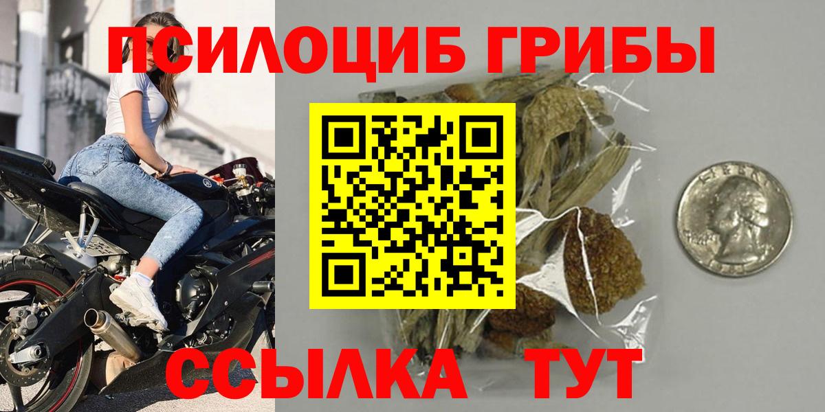 Псилоцибиновые грибы мицелий Кубинка